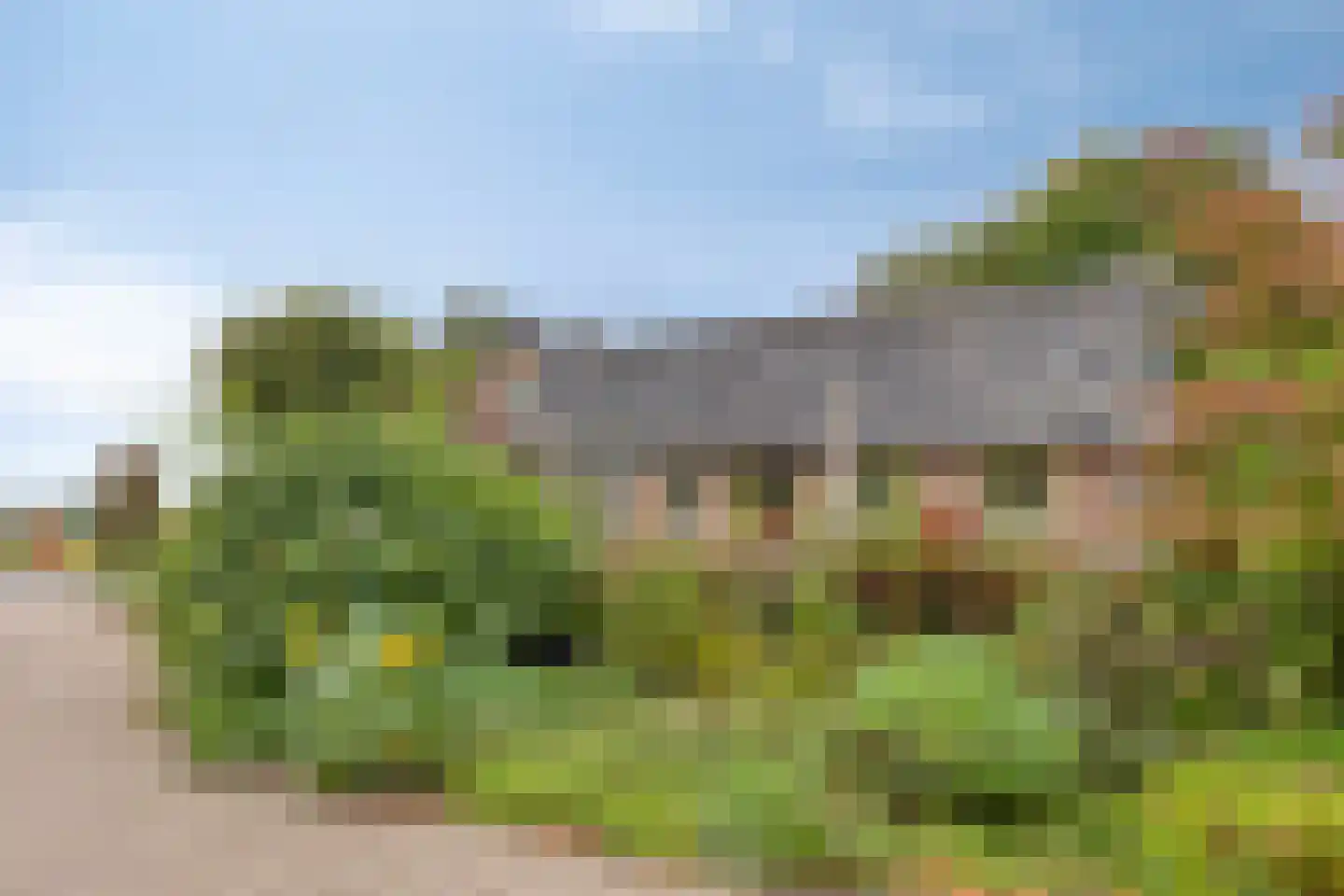 Keijenborgseweg 31 Zelhem thumbnail 75