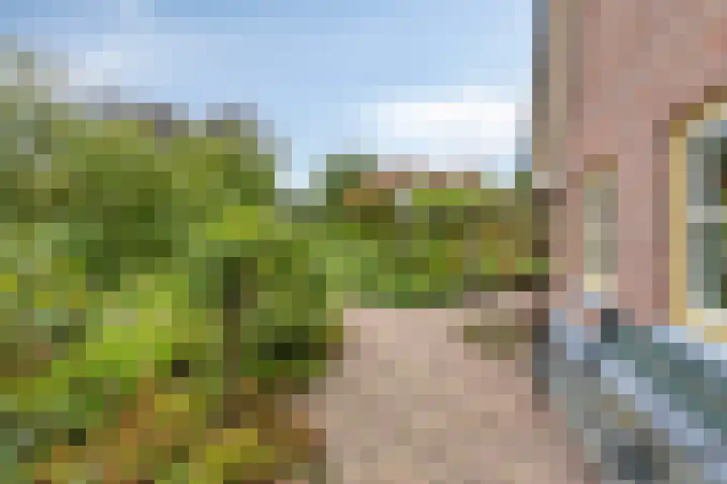 Keijenborgseweg 31 Zelhem thumbnail 78
