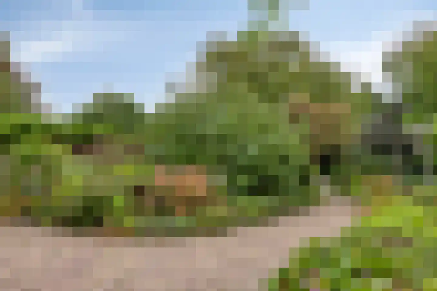 Keijenborgseweg 31 Zelhem thumbnail 82