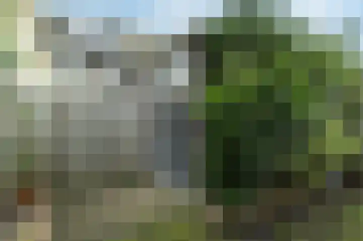 Keijzer-akker 13 Barendrecht thumbnail 32