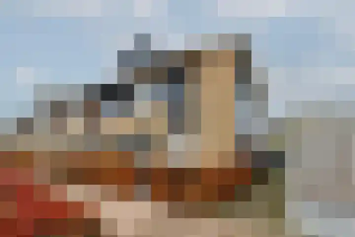 Keijzer-akker 22 Barendrecht thumbnail 6