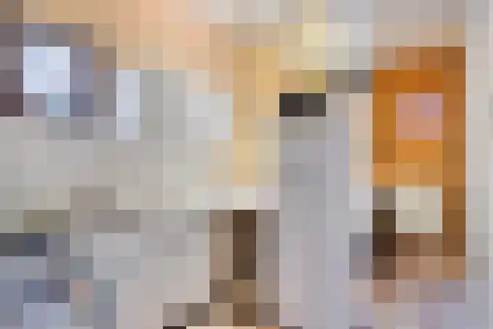 Keijzerstraat 12 Hoek thumbnail 10