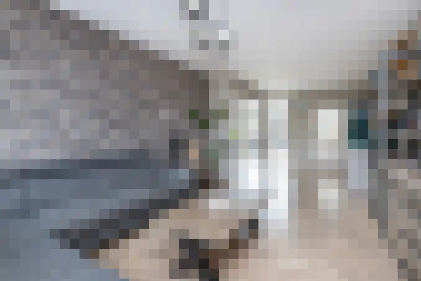Keijzerstraat 14 Stellendam thumbnail 10