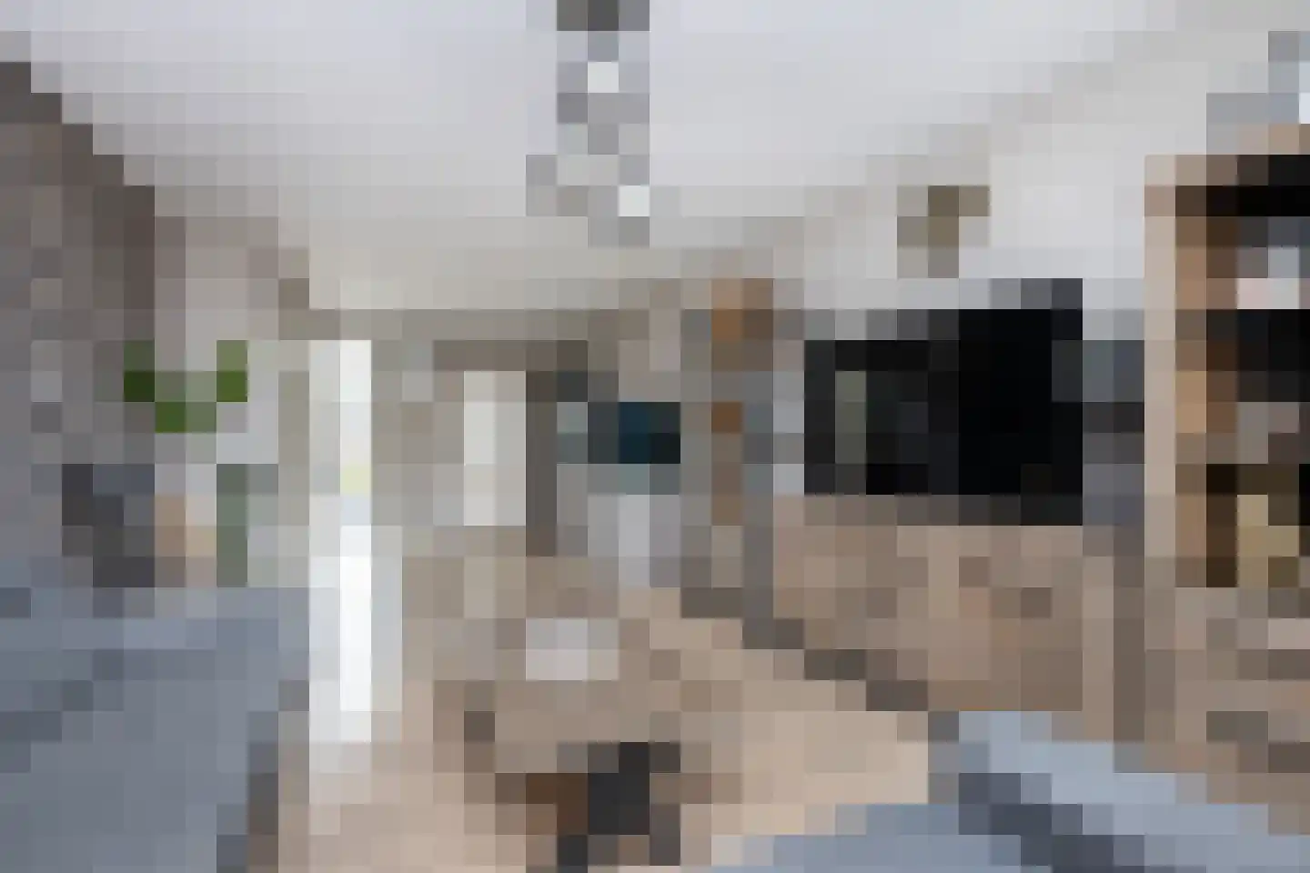 Keijzerstraat 14 Stellendam thumbnail 11