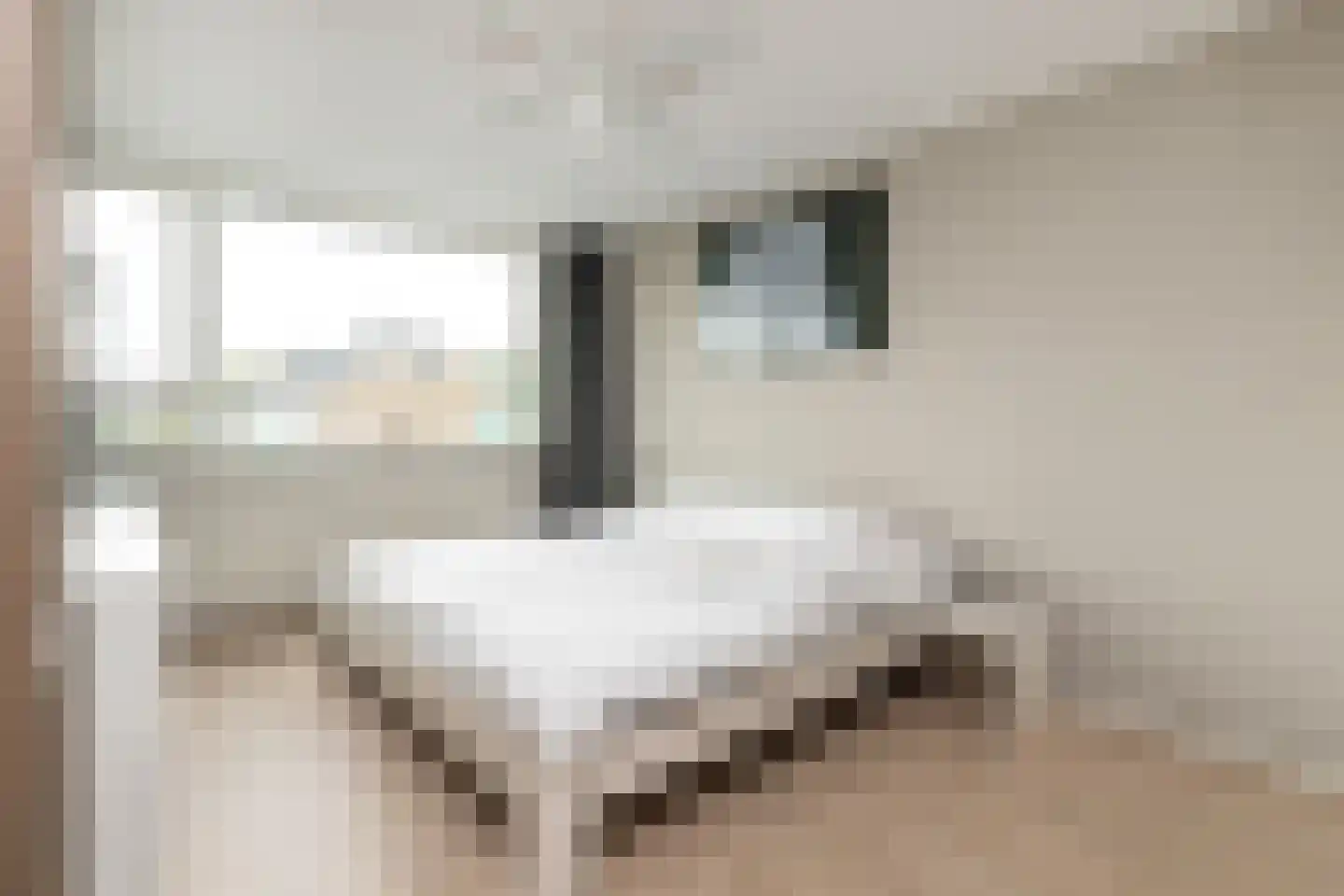 Keijzerstraat 14 Stellendam thumbnail 18