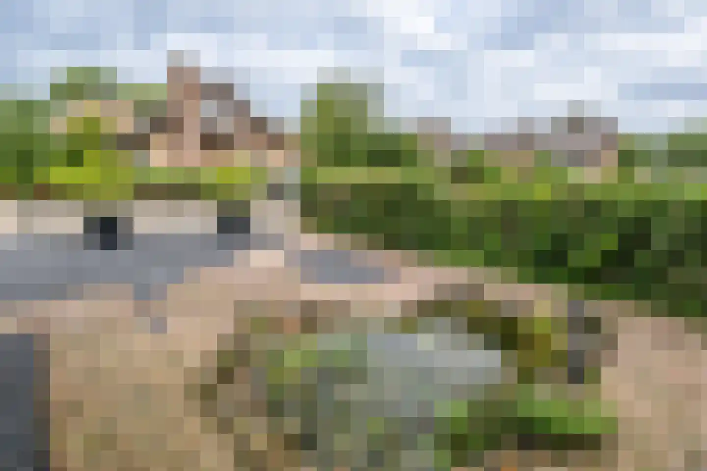 Keijzerstraat 14 Stellendam thumbnail 30