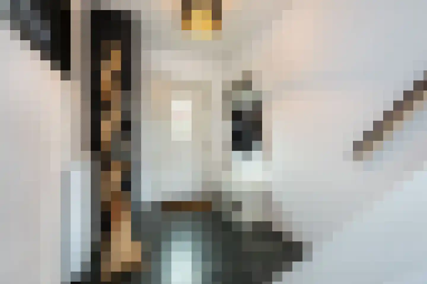 Keijzerstraat 14 Stellendam thumbnail 5