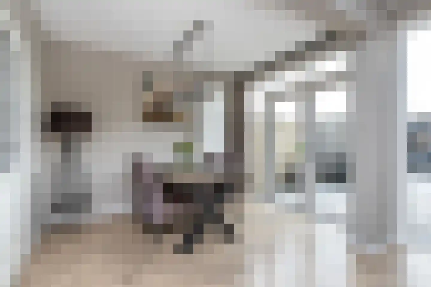 Keijzerstraat 14 Stellendam thumbnail 6