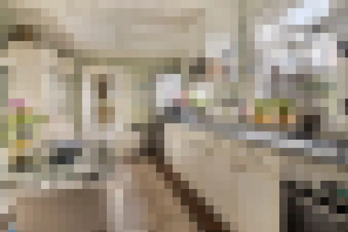 Keijzerstraat 16 Hoek thumbnail 18