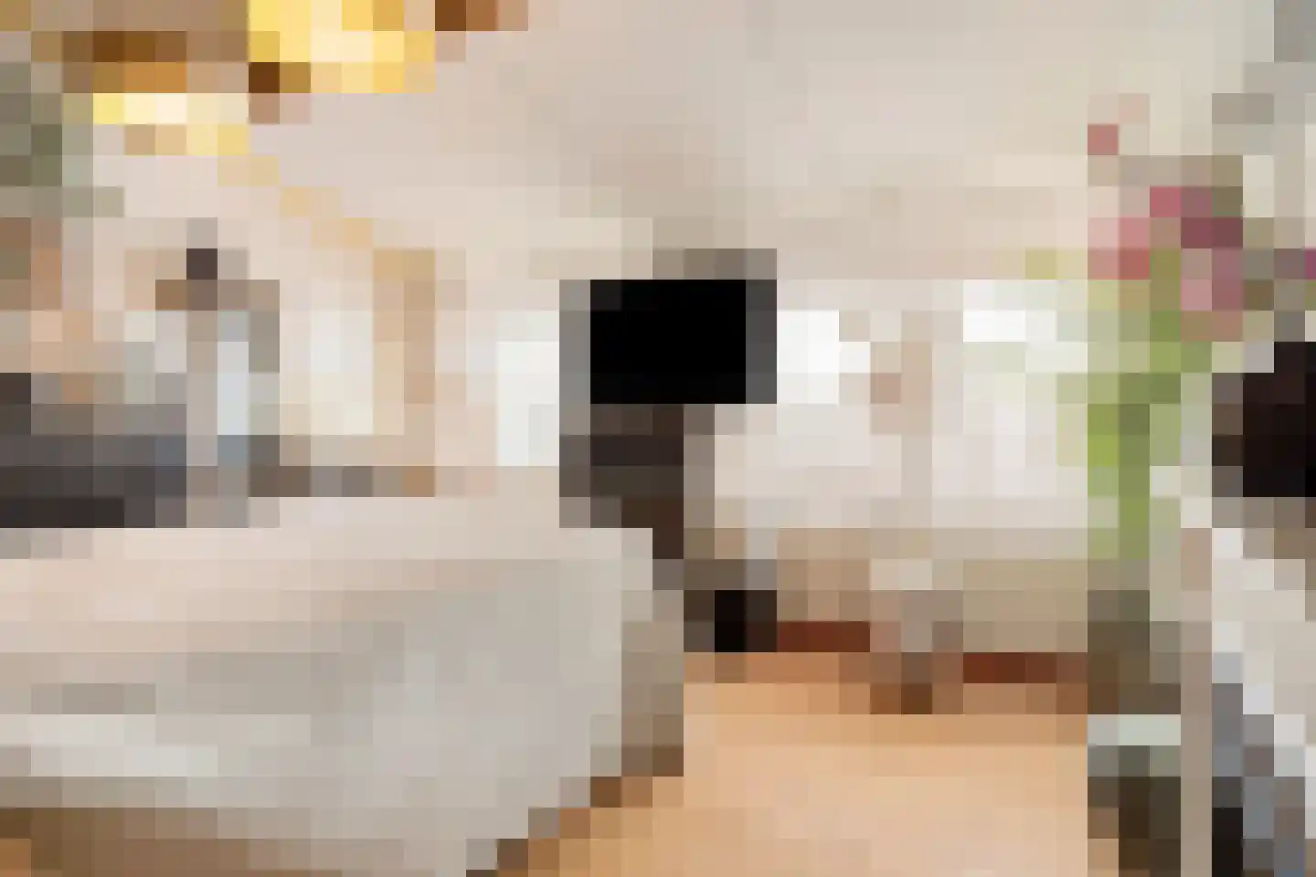 Keijzerstraat 16 Hoek thumbnail 24