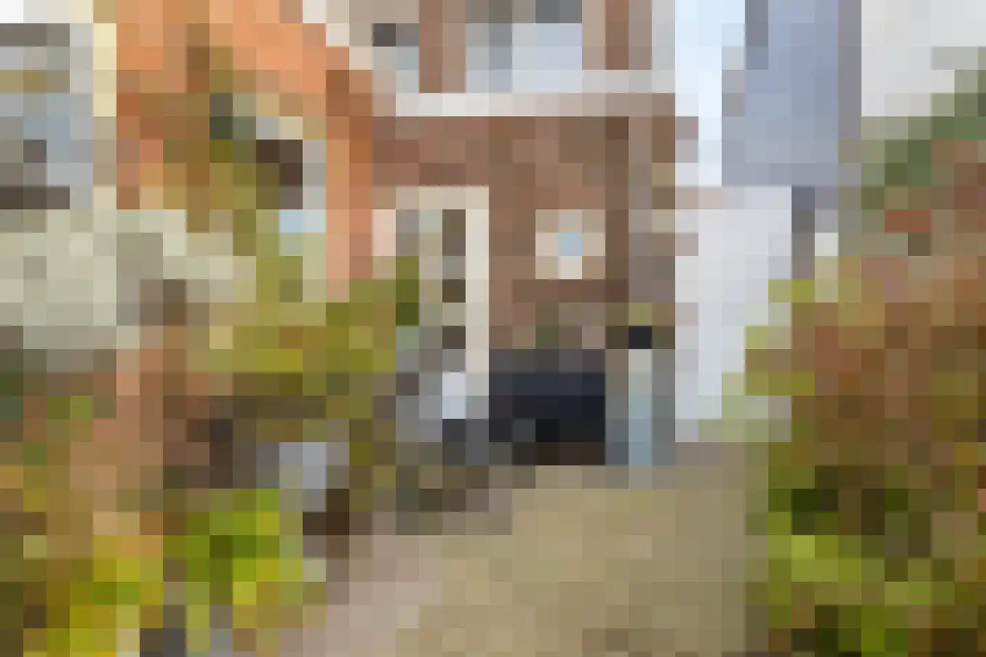 Keijzerstraat 16 Hoek thumbnail 29