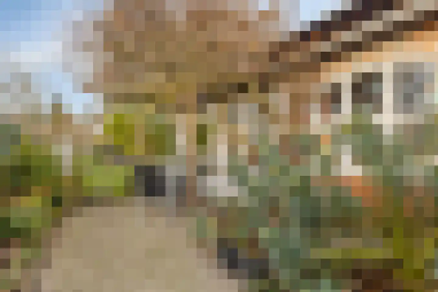 Keijzerstraat 16 Hoek thumbnail 31