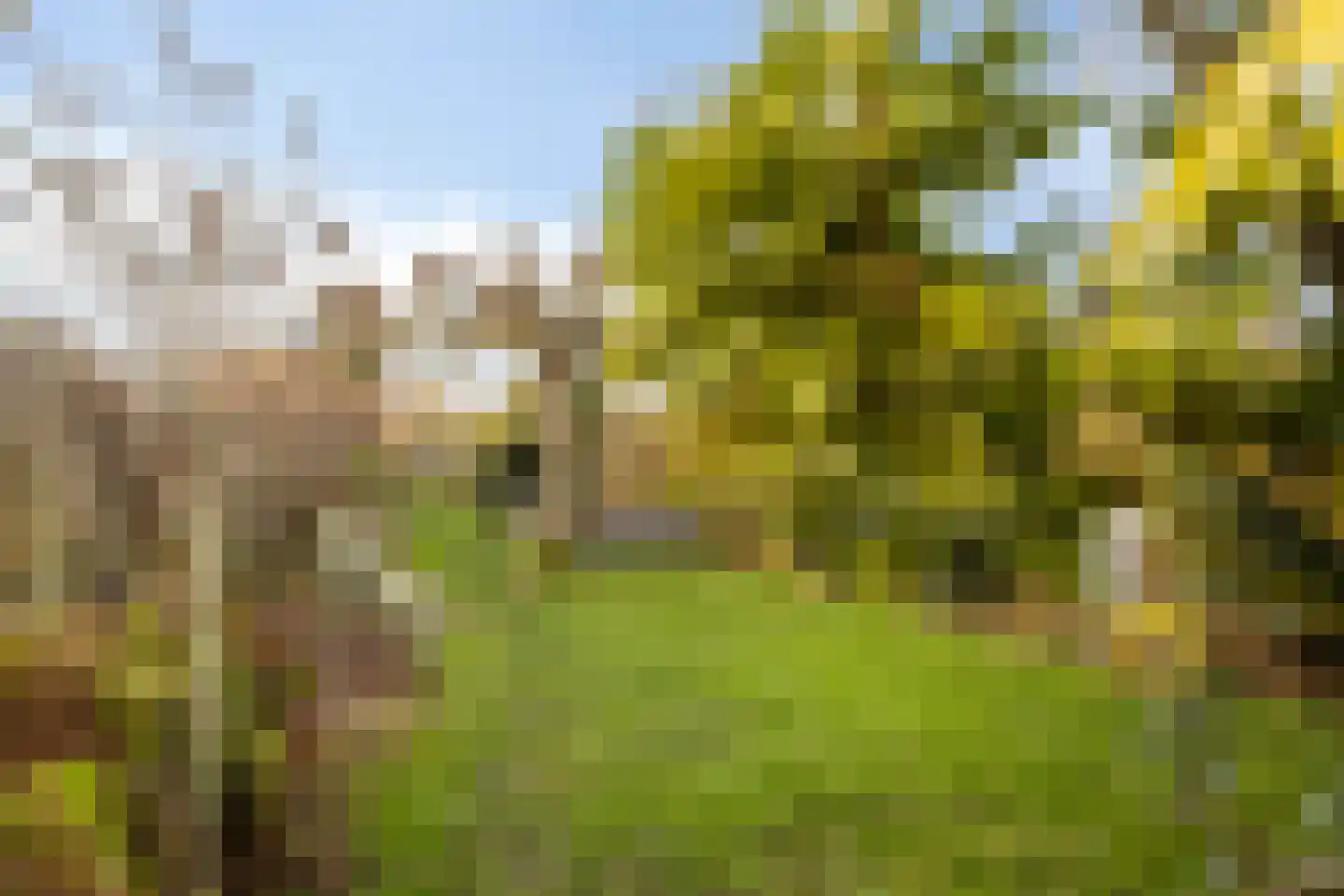 Keijzerstraat 16 Hoek thumbnail 32