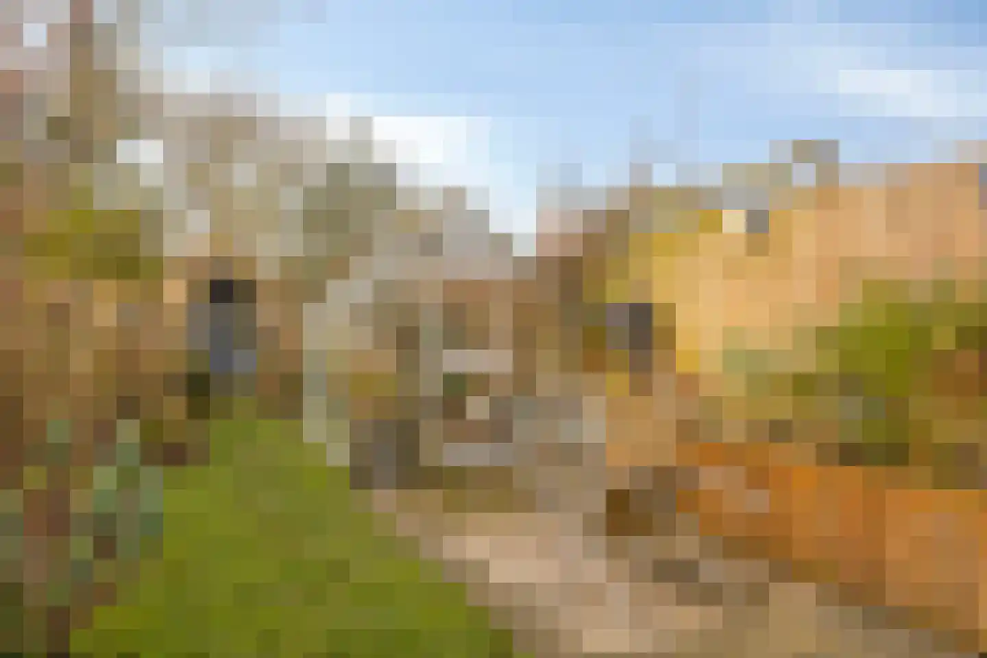Keijzerstraat 16 Hoek thumbnail 33