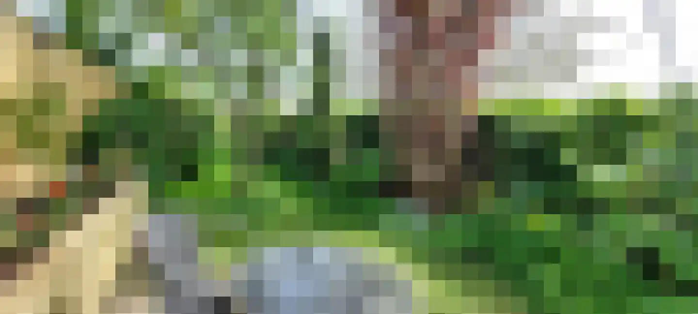 Keijzerstraat 16 Hoek thumbnail 36