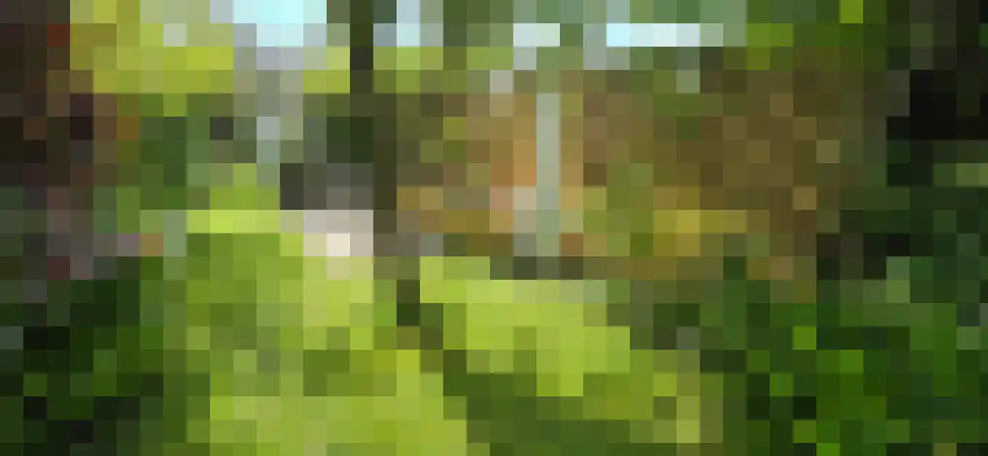 Keijzerstraat 16 Hoek thumbnail 37