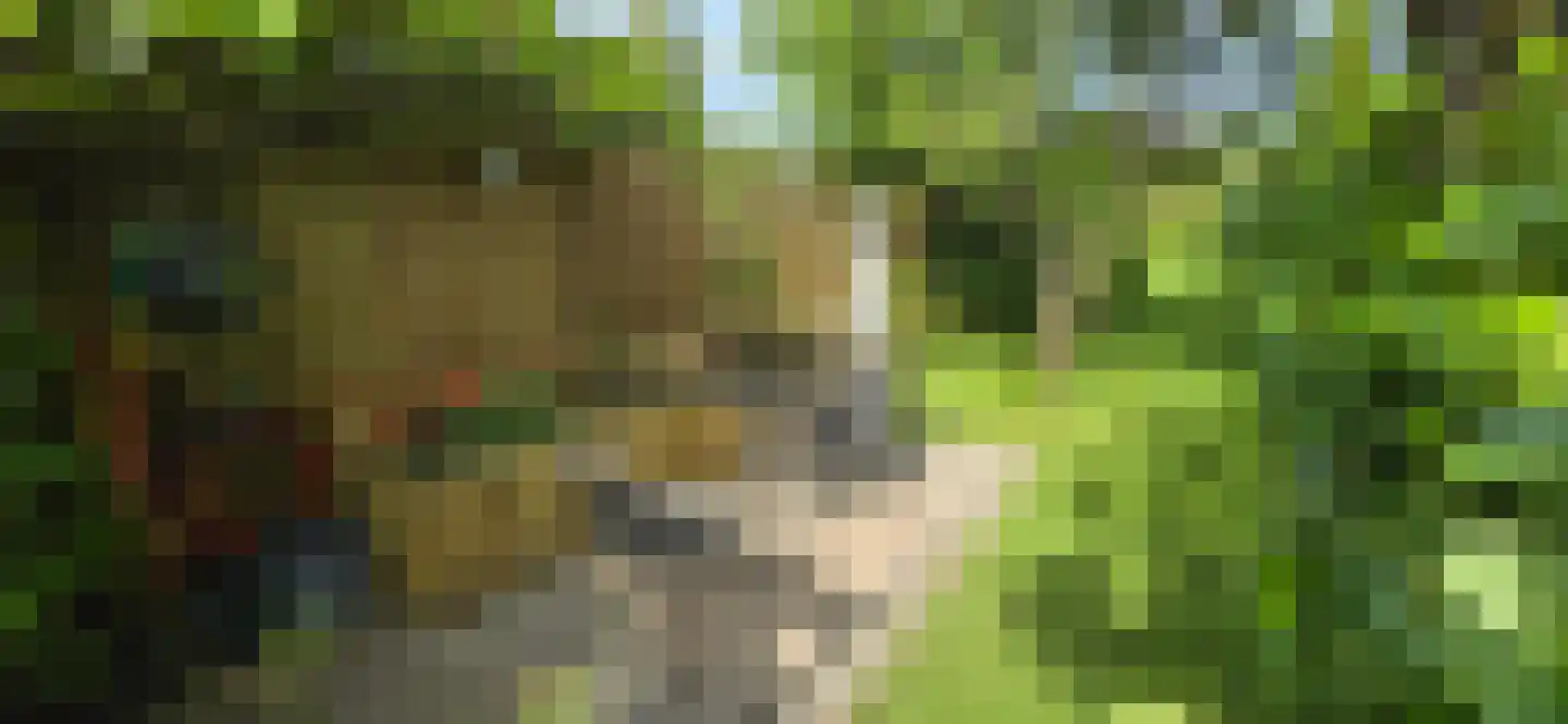 Keijzerstraat 16 Hoek thumbnail 38