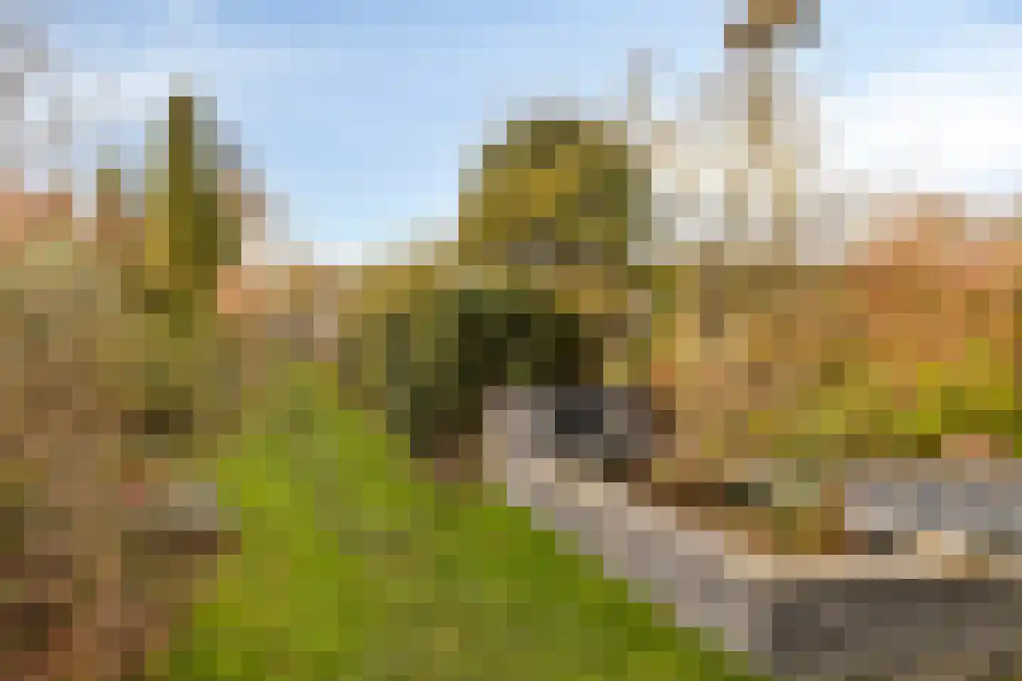 Keijzerstraat 16 Hoek thumbnail 4