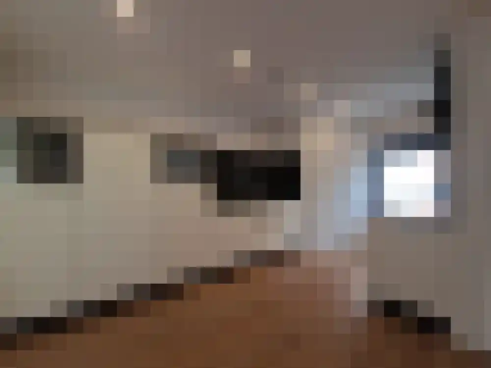 Keijzerstraat 17 Hoek thumbnail 12