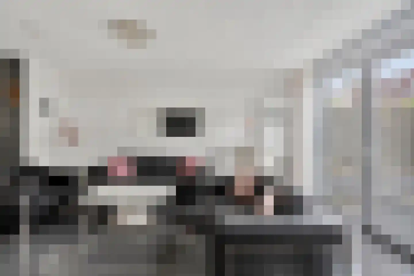 Keilruwe 15 Maastricht thumbnail 10