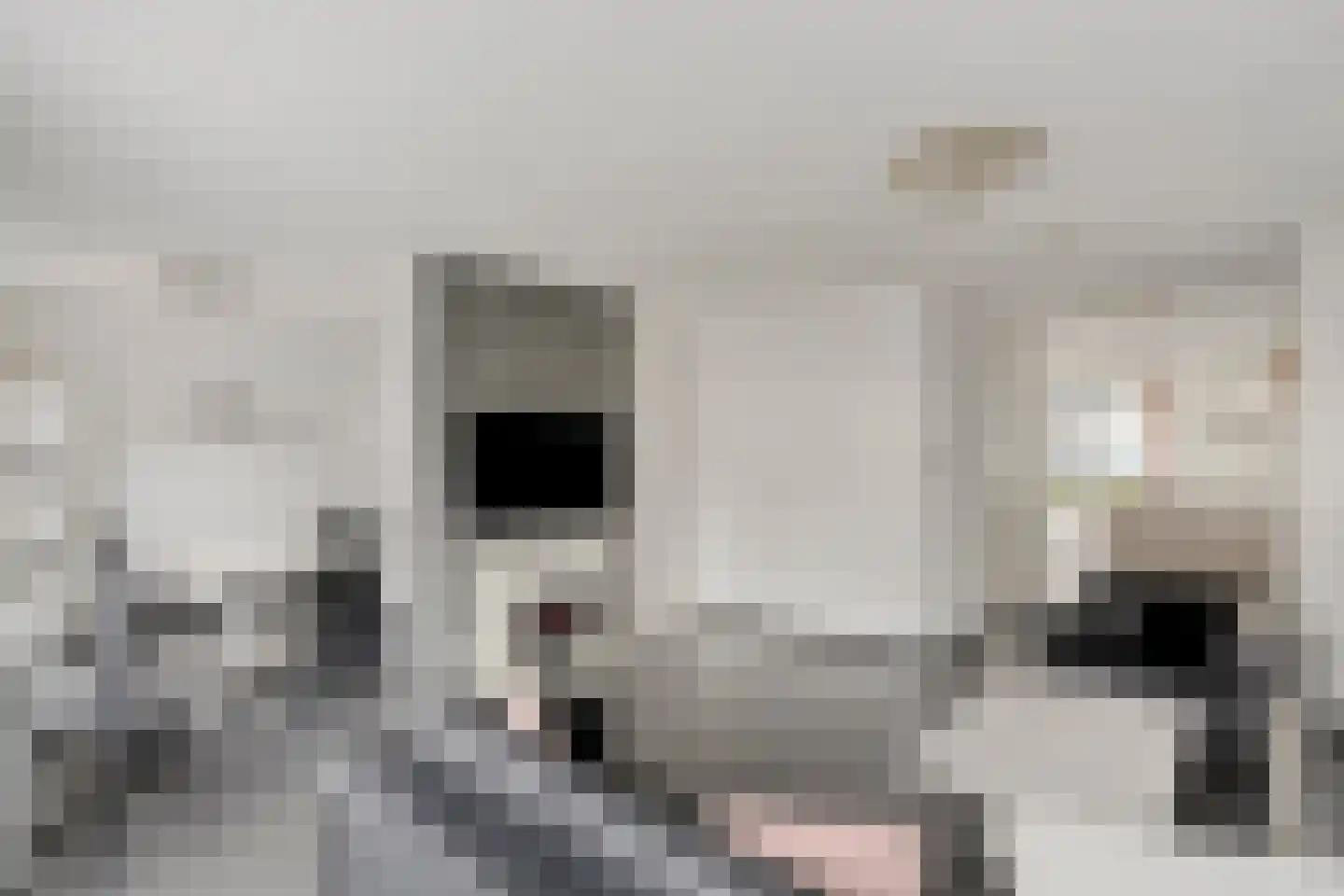Keilruwe 15 Maastricht thumbnail 10