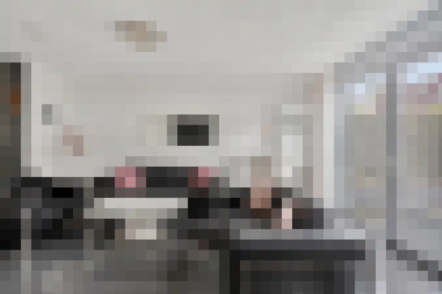 Keilruwe 15 Maastricht thumbnail 11
