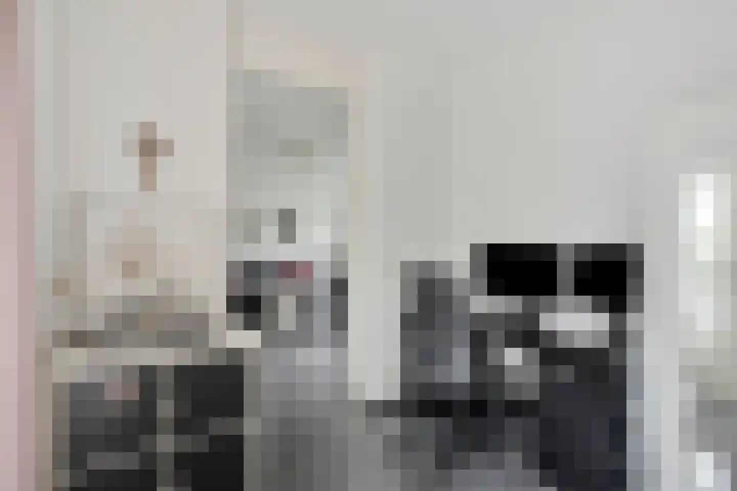Keilruwe 15 Maastricht thumbnail 20