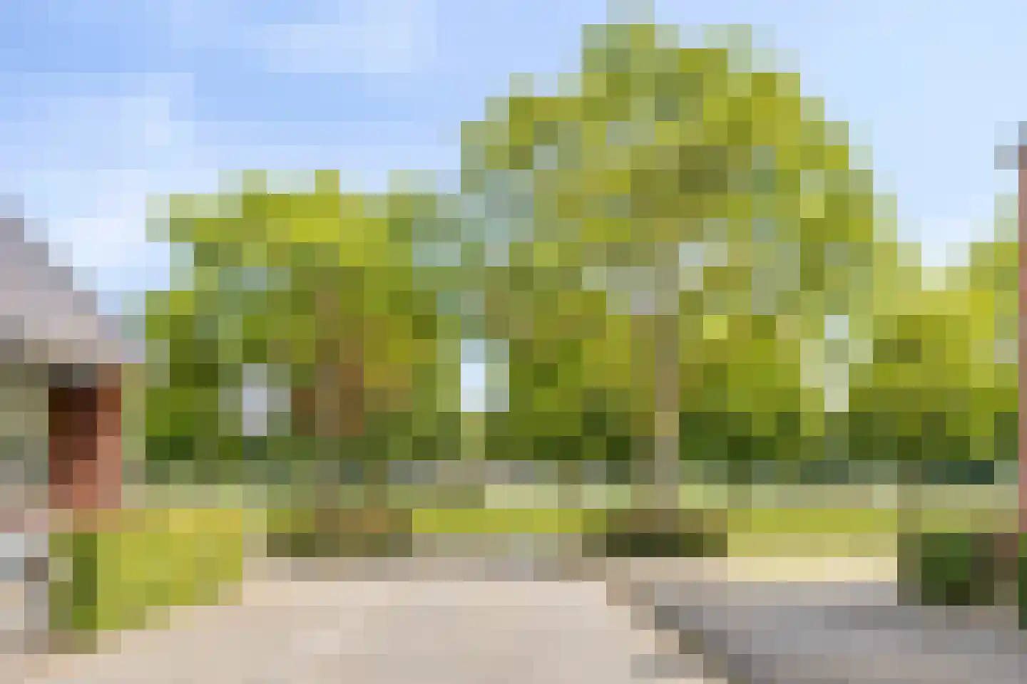 Keilruwe 15 Maastricht thumbnail 42