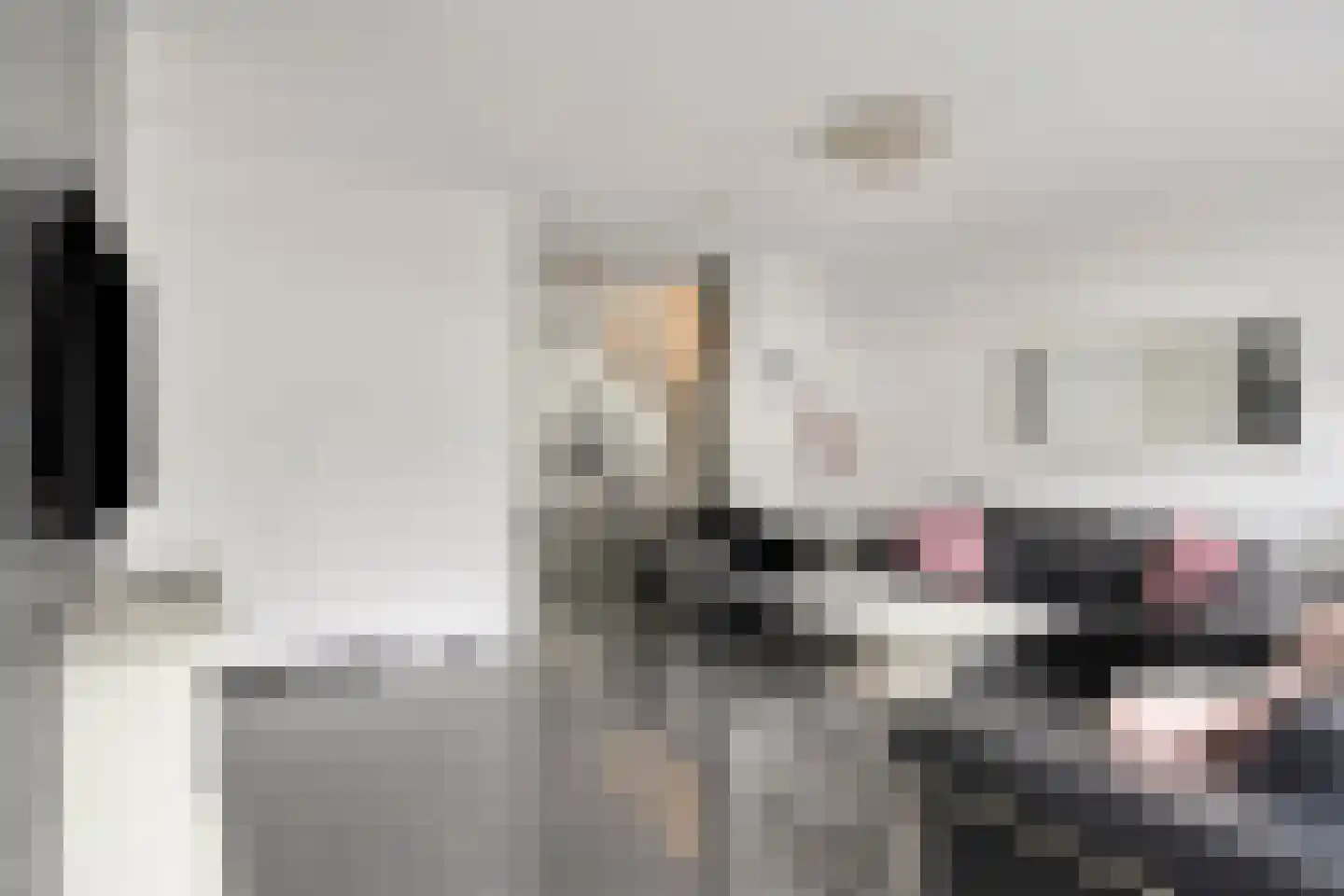 Keilruwe 15 Maastricht thumbnail 7