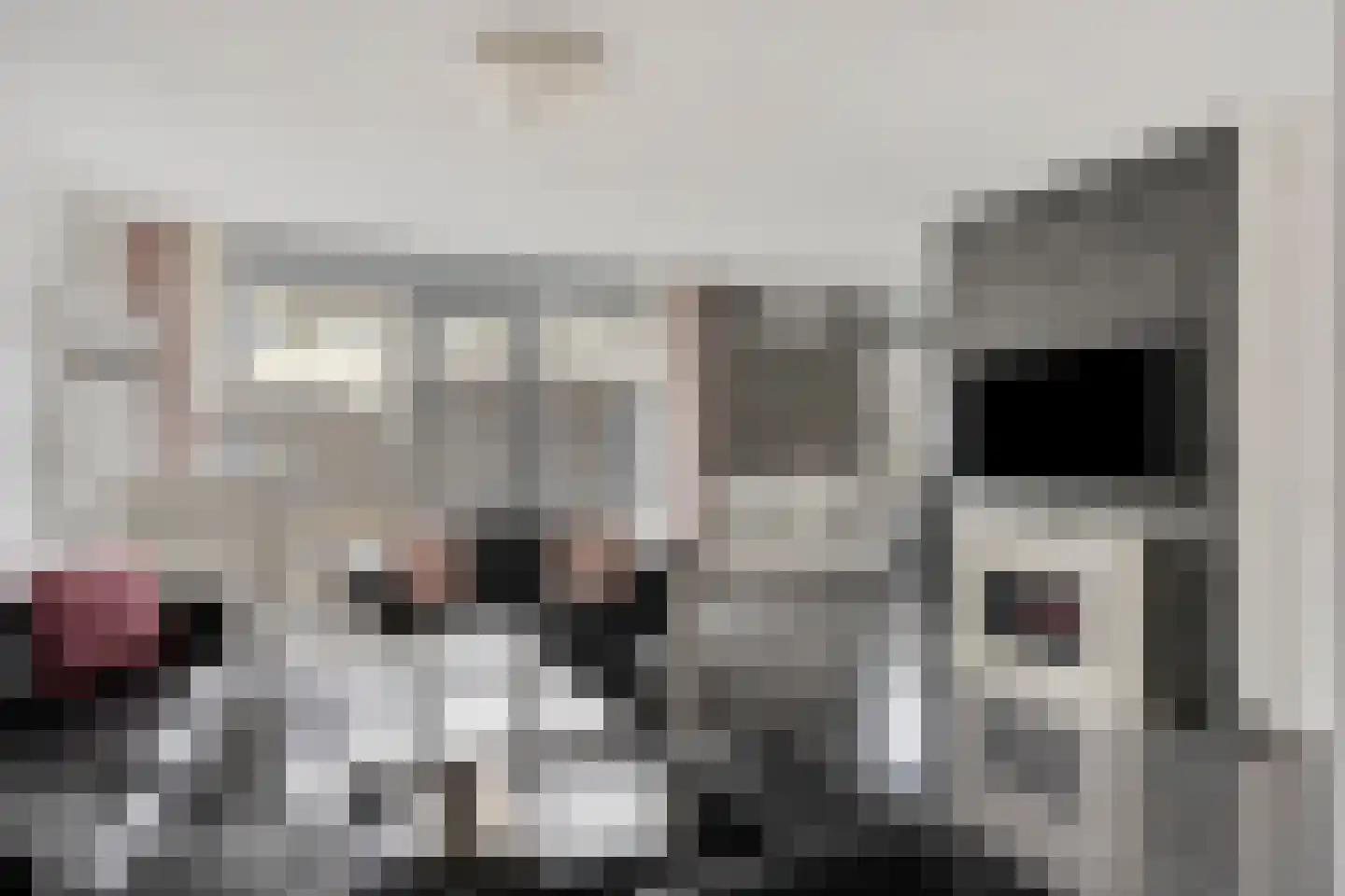 Keilruwe 15 Maastricht thumbnail 7