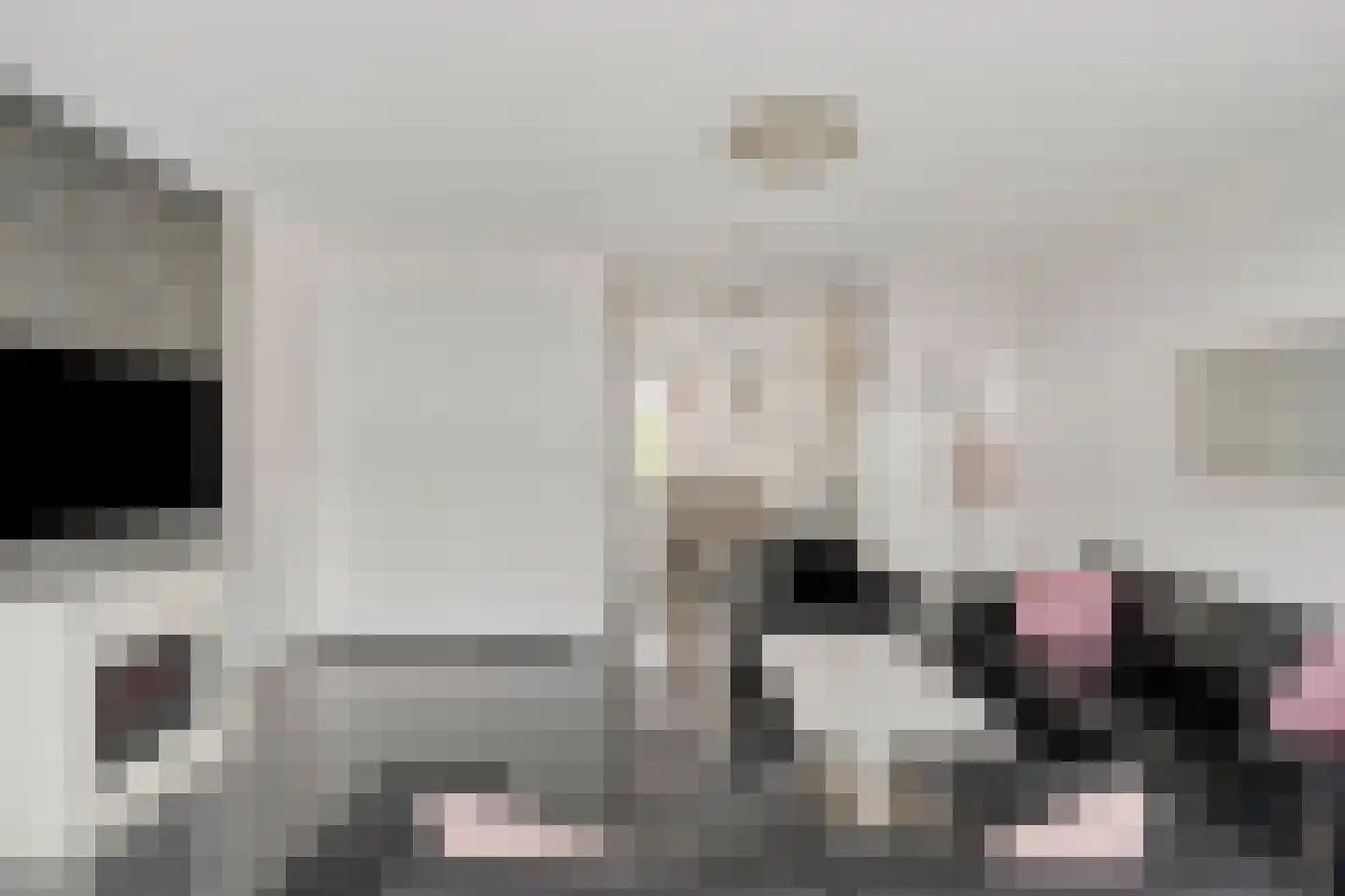 Keilruwe 15 Maastricht thumbnail 9