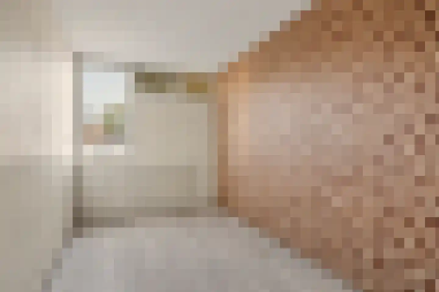 Keimpemahuis 11 Almelo thumbnail 16