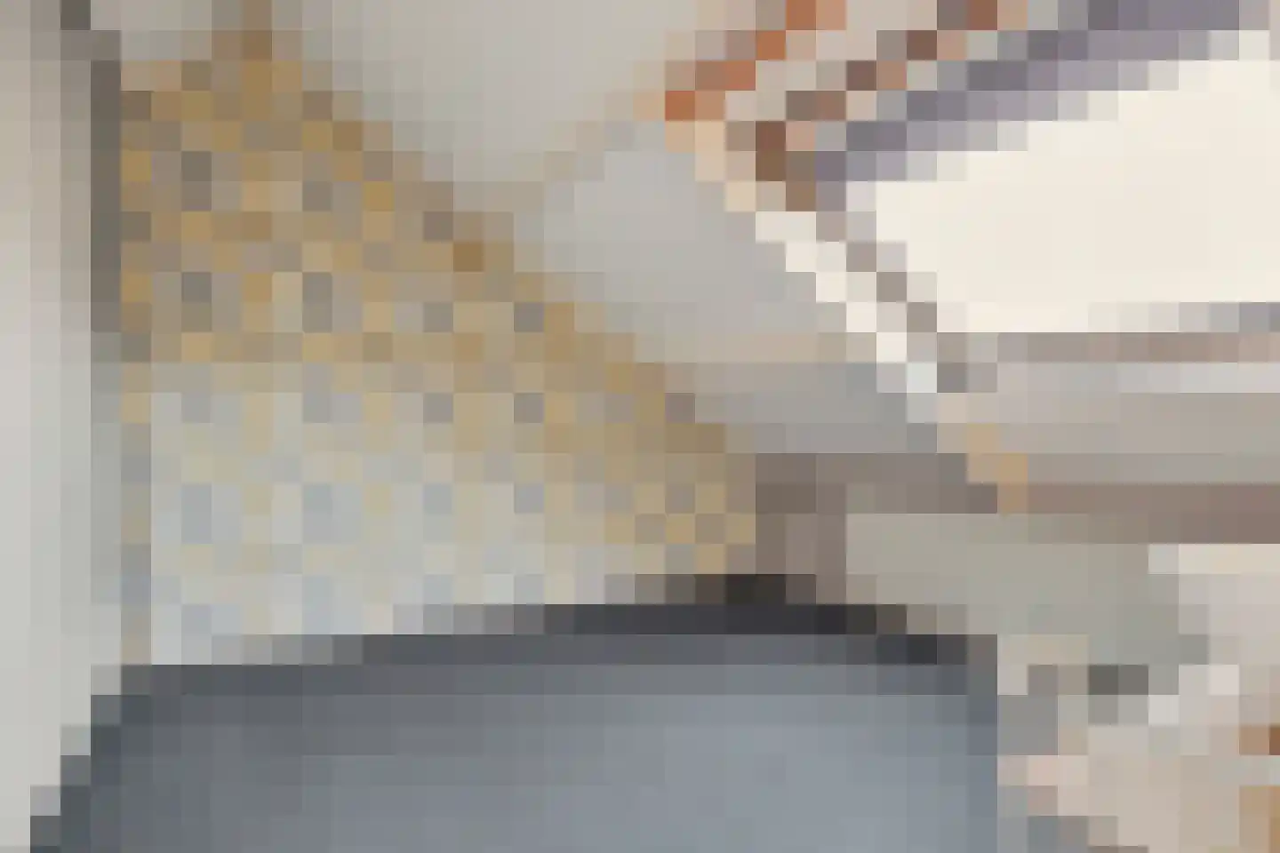 Keimpemahuis 11 Almelo thumbnail 24