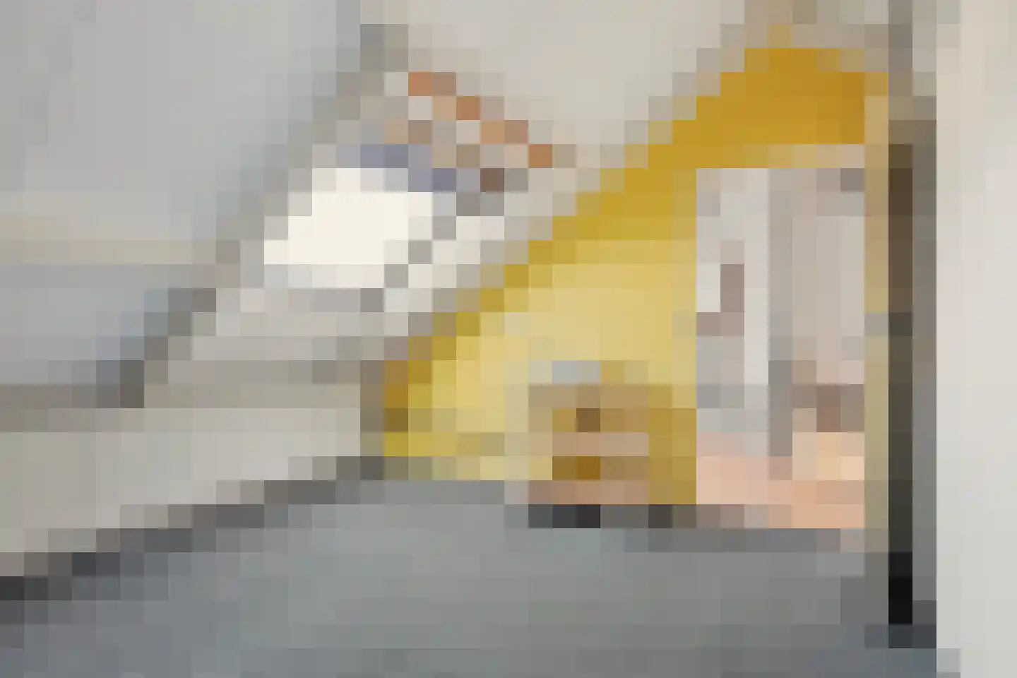Keimpemahuis 11 Almelo thumbnail 25