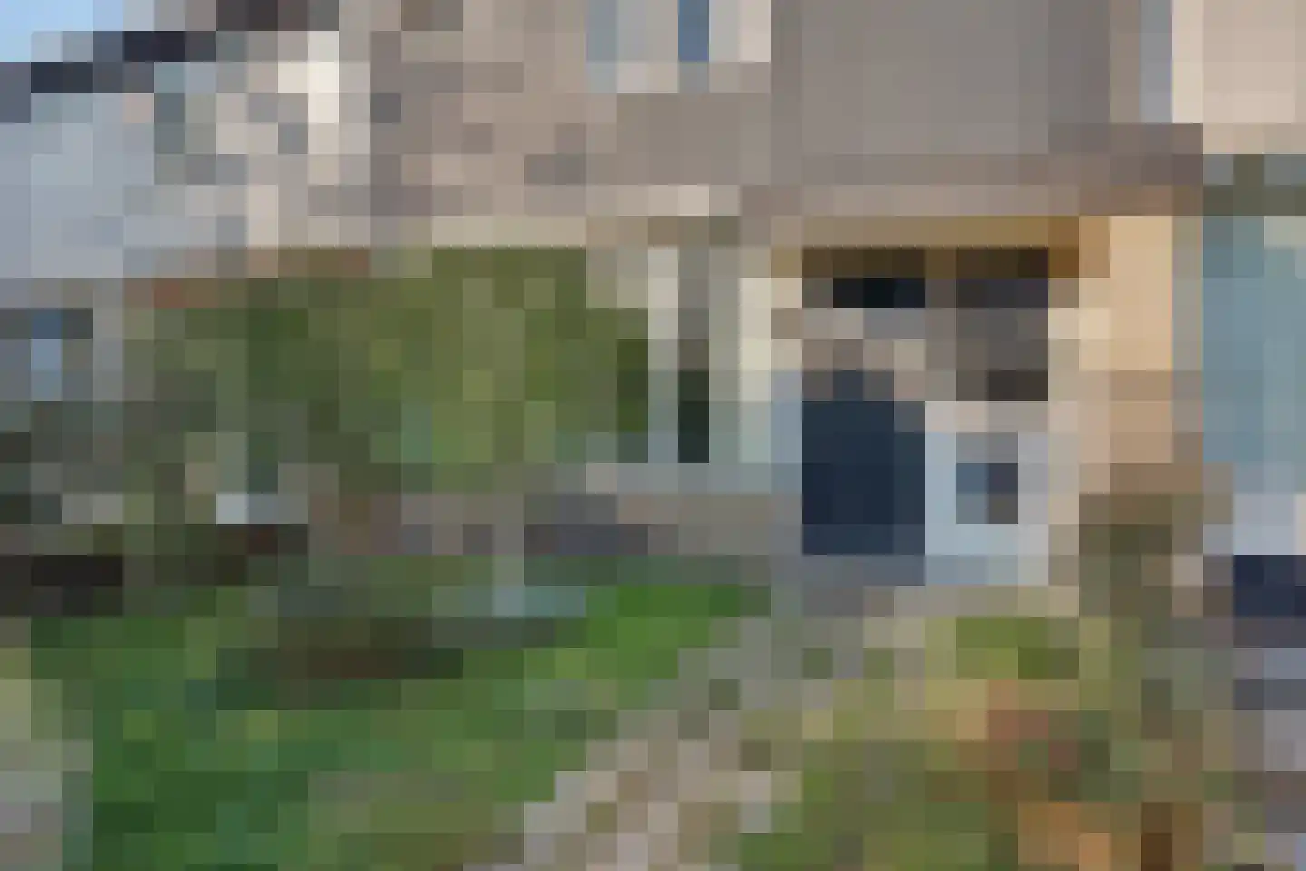 Keimpemahuis 11 Almelo thumbnail 4