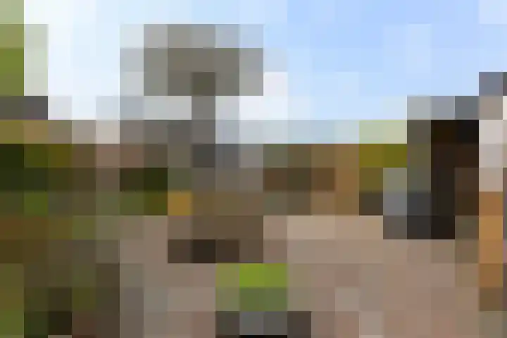 Keimpemastins 16 Leeuwarden thumbnail 4