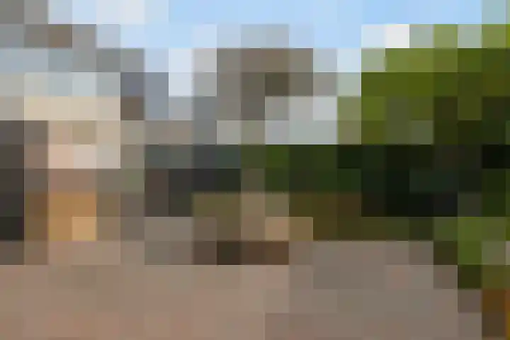 Keimpemastins 16 Leeuwarden thumbnail 9
