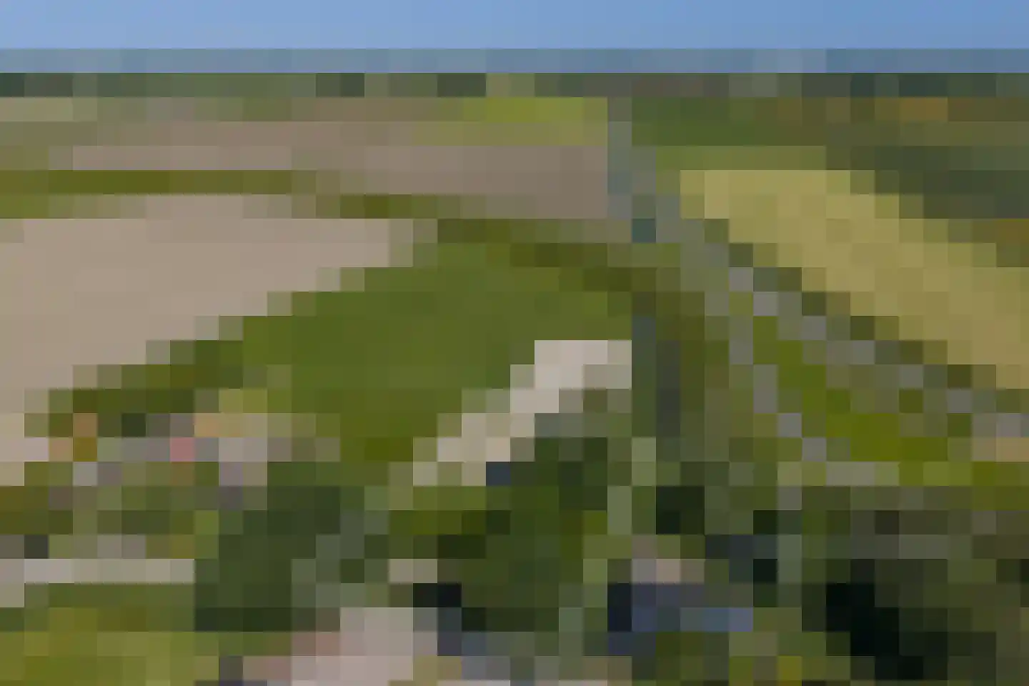 Keins 4 Schagen