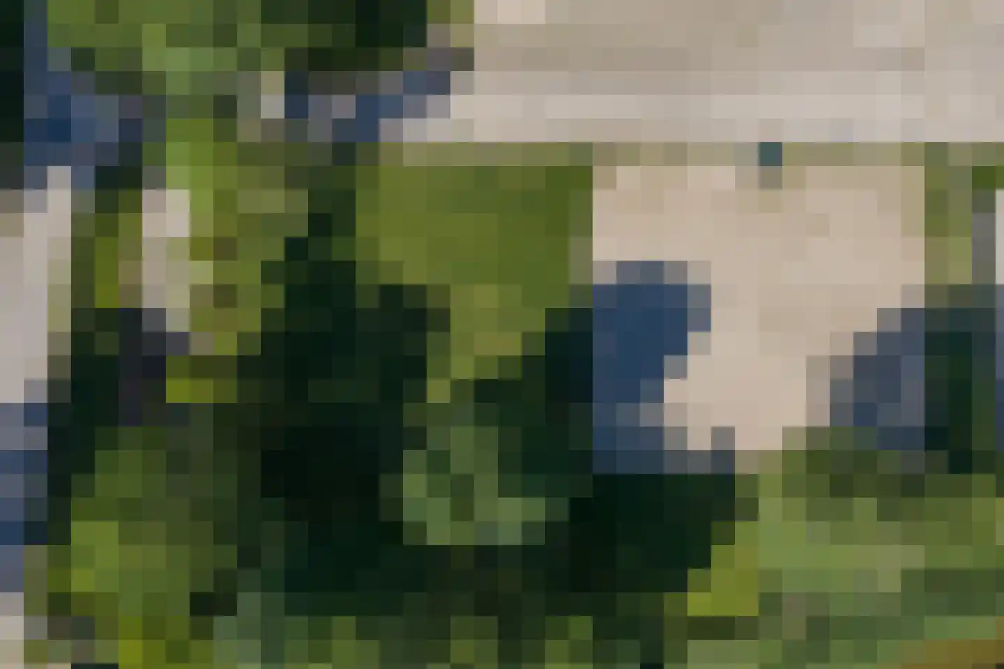 Keins 4 Schagen foto 2