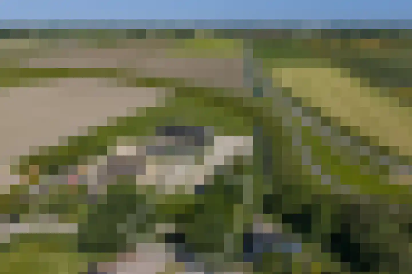 Keins 4 Schagen thumbnail 4