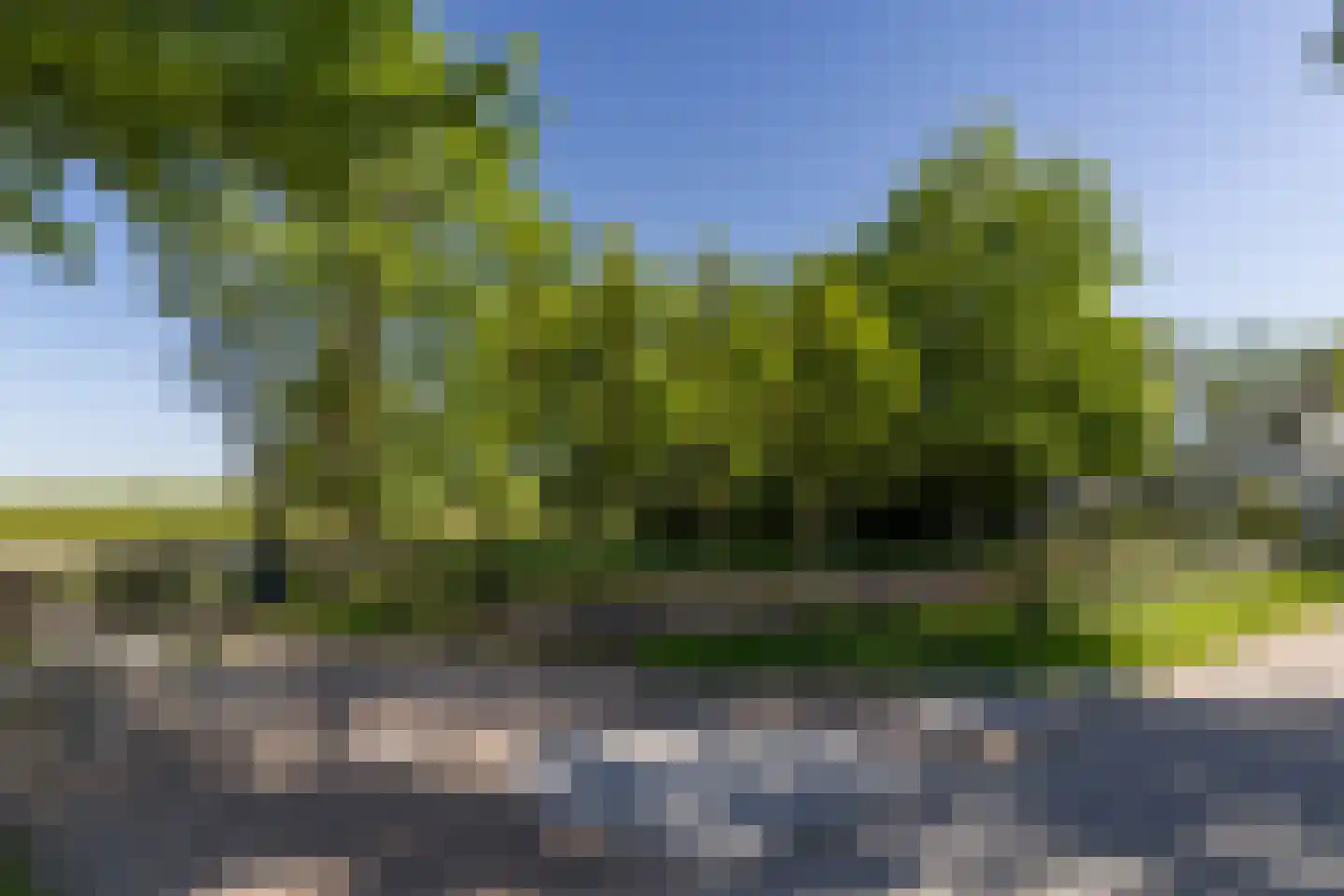 Keins 4 Schagen thumbnail 7