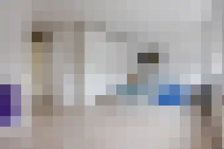 Keinsmerwiel 12 Heerhugowaard thumbnail 17