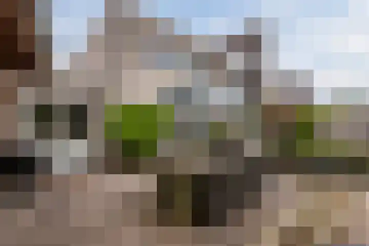 Keinsmerwiel 12 Heerhugowaard thumbnail 32