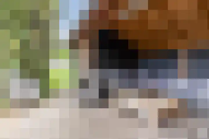 Keinsmerwiel 12 Heerhugowaard thumbnail 33