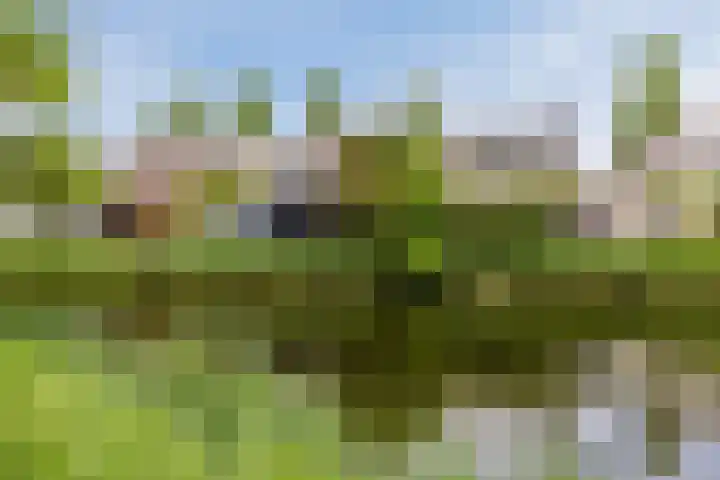 Keinsmerwiel 12 Heerhugowaard thumbnail 35