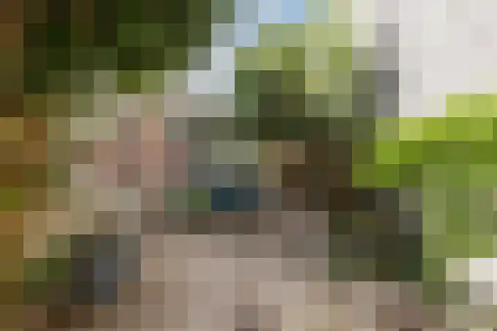 Keinsmerwiel 12 Heerhugowaard thumbnail 37