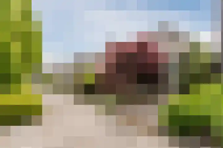 Keinsmerwiel 12 Heerhugowaard thumbnail 38