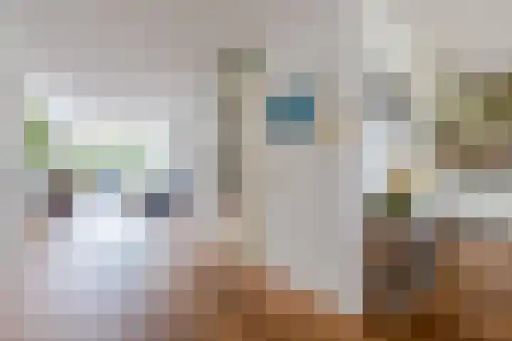 Keinsmerwiel 12 Heerhugowaard thumbnail 9
