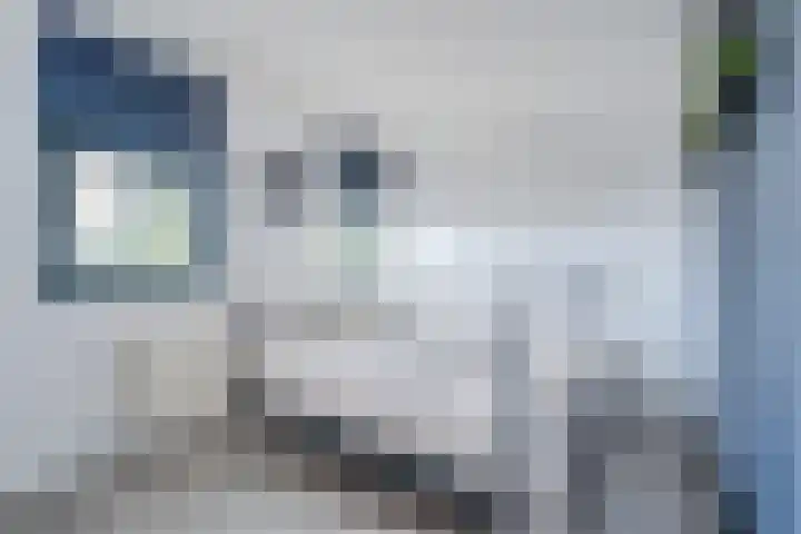 Keinsmerwiel 120 Heerhugowaard thumbnail 10