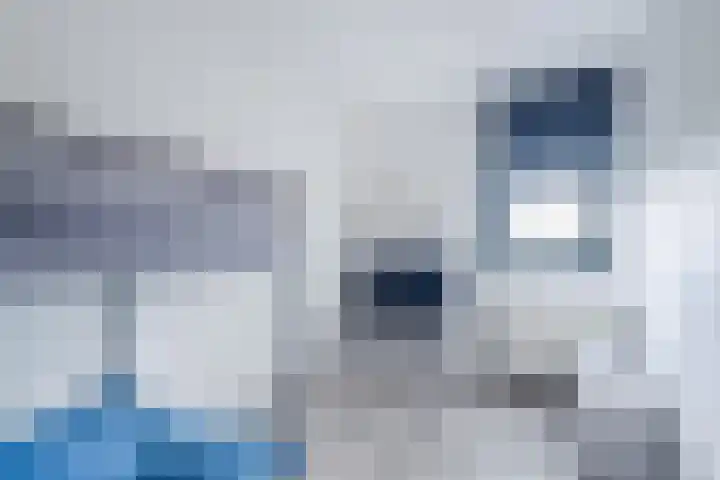 Keinsmerwiel 120 Heerhugowaard thumbnail 12